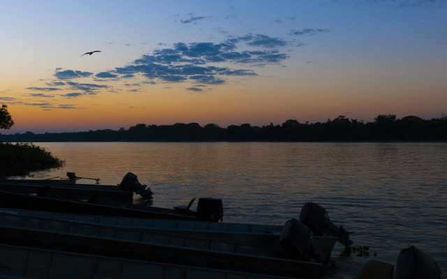Porto Jofre Pantanal