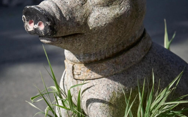 Saukaserstub'n Apartments - Ferienwohnung Schützkogel