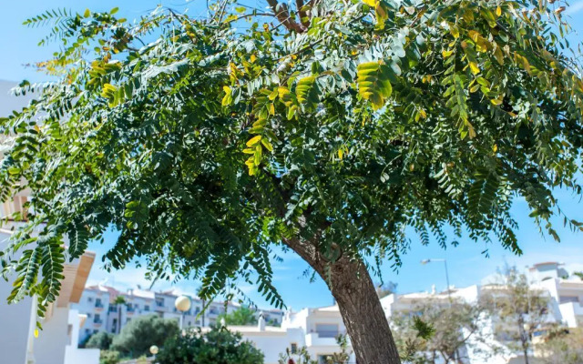 Villa Vista Anders Mar