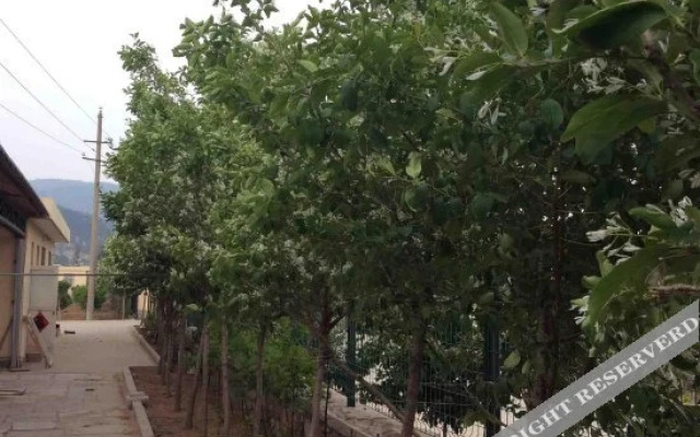 Laoshan Shengda Hotel