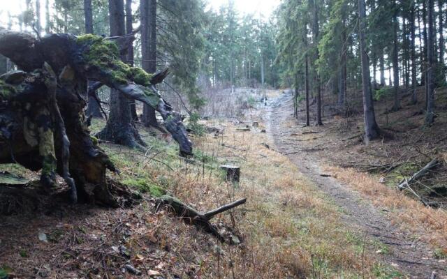 Café Landart im Thüringer Finistere