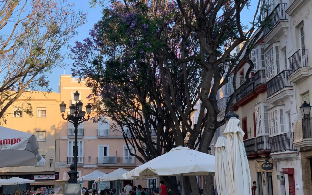 La Casa Morada - Hostel