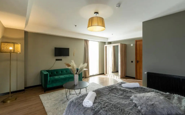 Super Stylish and cozy 2 bedroom 4or6 people Apartment in key location in Marshall Gudauri Project Ski Resort