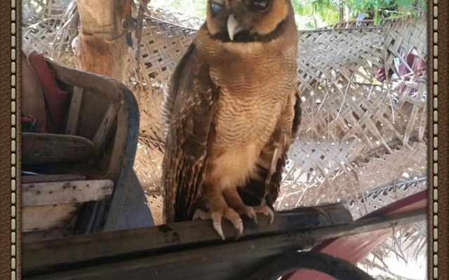 Humbhaha Jungle Nature Eco Resort