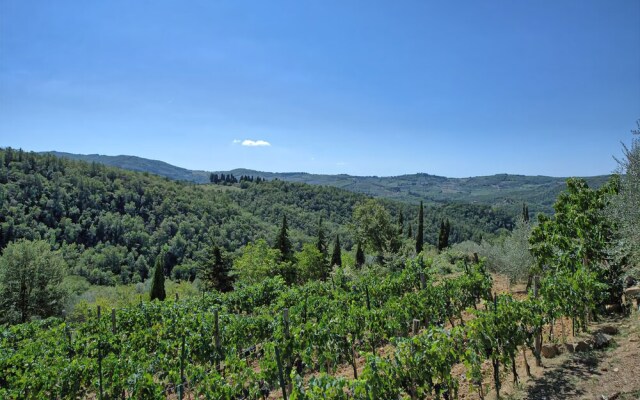Bigiolo a Melazzano
