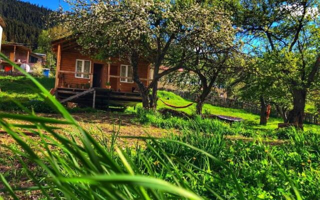 Deka Cottage