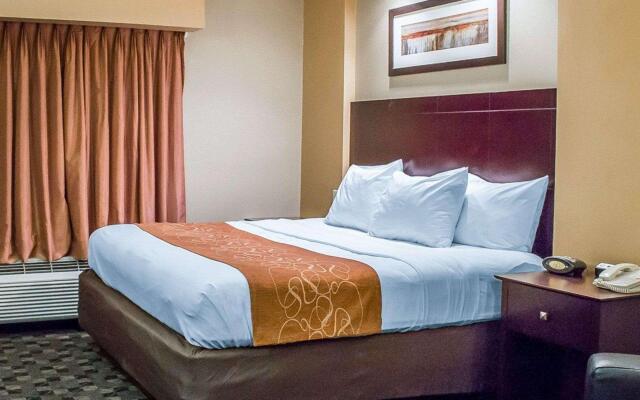 Comfort Suites Perrysburg - Toledo South