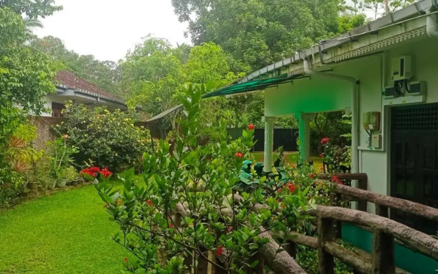 The Green Weligama