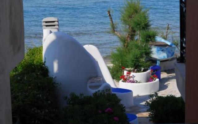 Alisaxni Studios