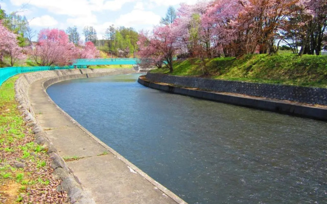 Avidasion - Vacation STAY 13343