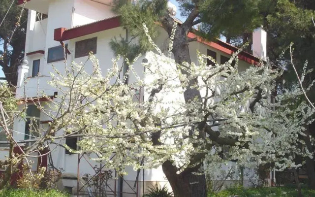 Ombra dei Pini