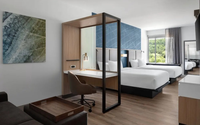 Springhill Suites By Marriott Roanoke North