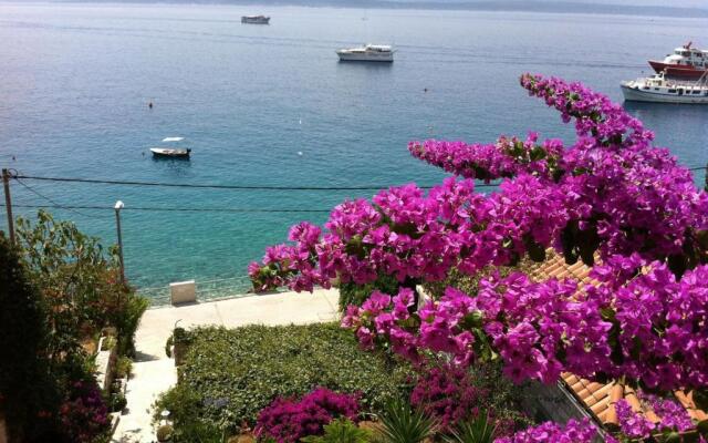 Apartments Matea - 20m from sea