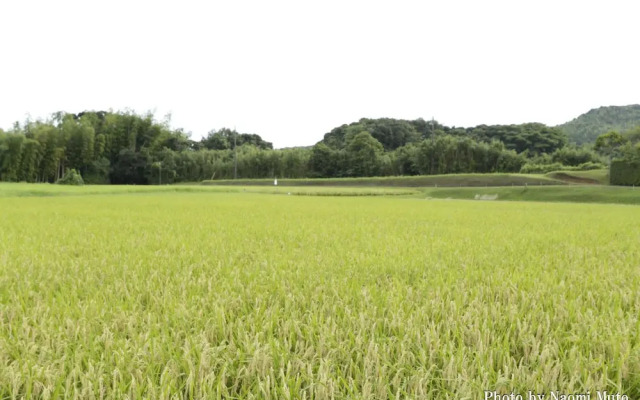 Sato No Hakoniwa Lodge 365