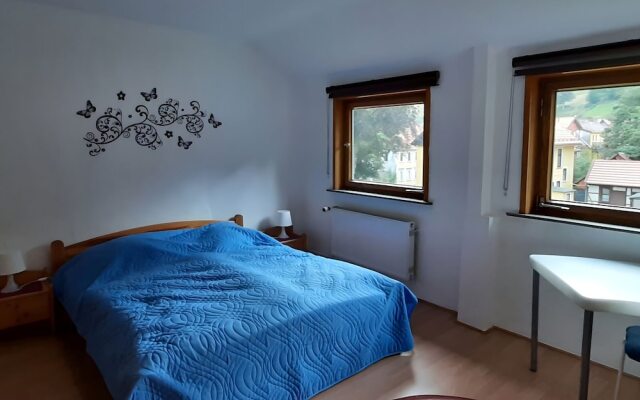 Cozy Holiday Apartment in the Harz