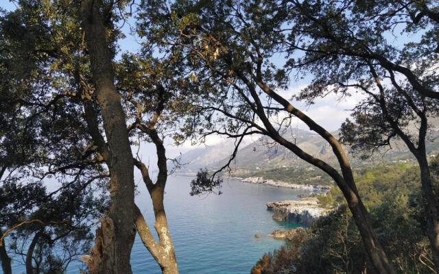 Judia Camere Sul Mare