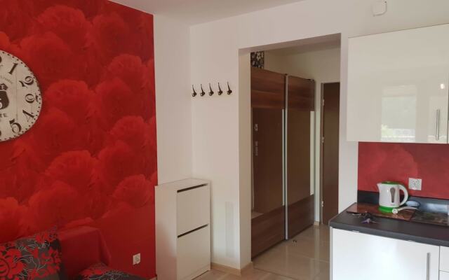 Apartament - Zdrojowa 18