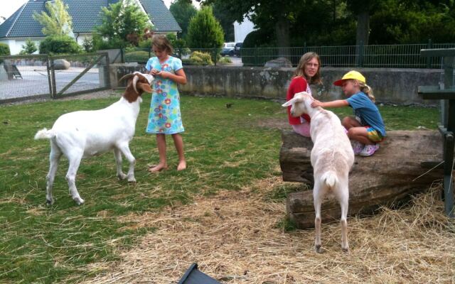 Ferienhof Alte Mühle - Wohnung 2