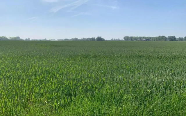 Apartment in Nieuwpoort by the Sea Wall
