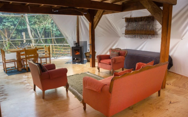 Cabanas Ensenada Bosque Nativo