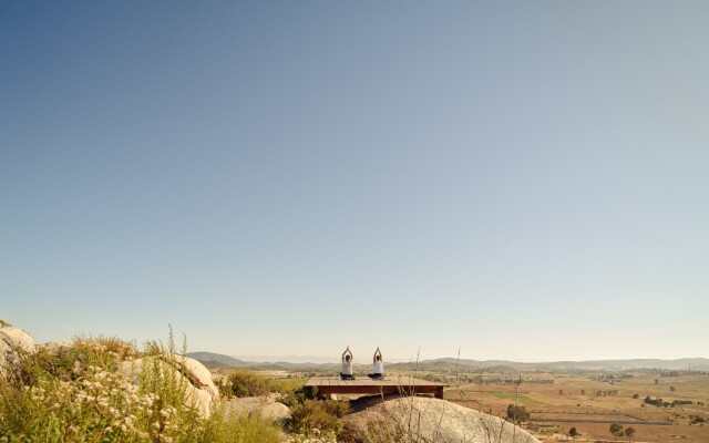 Banyan Tree Veya Valle De Guadalupe