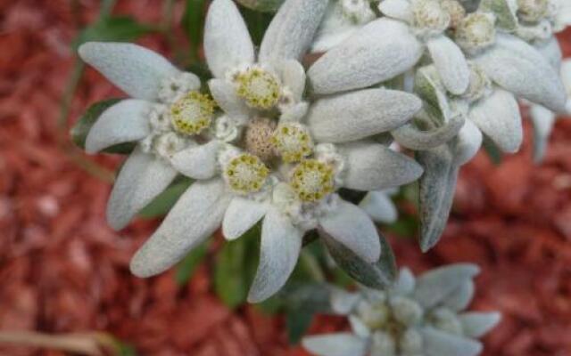 Gasthof Schöne Aussicht