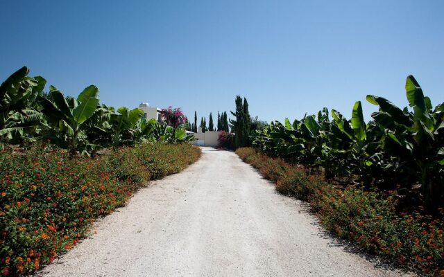 Banana Cyprus Villas