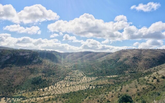 The Nest By Cooking and Nature