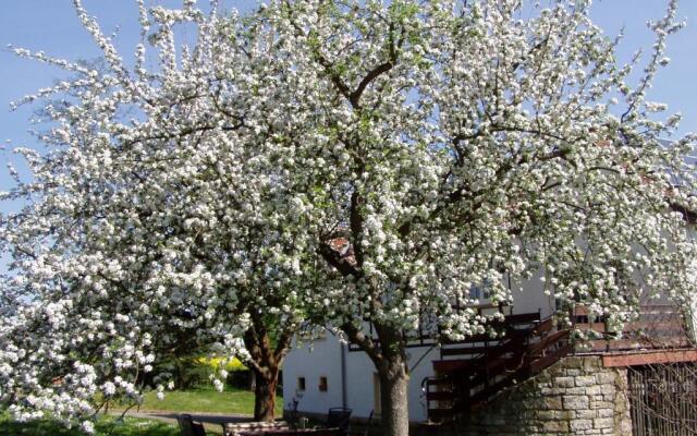 Ferienwohnung Obermühle