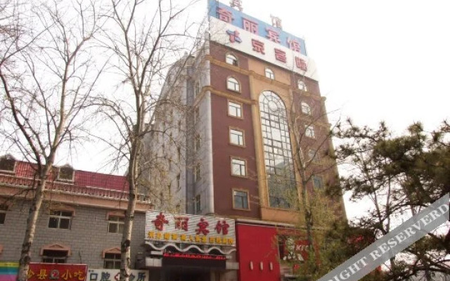 Qi Li  Art Hotei