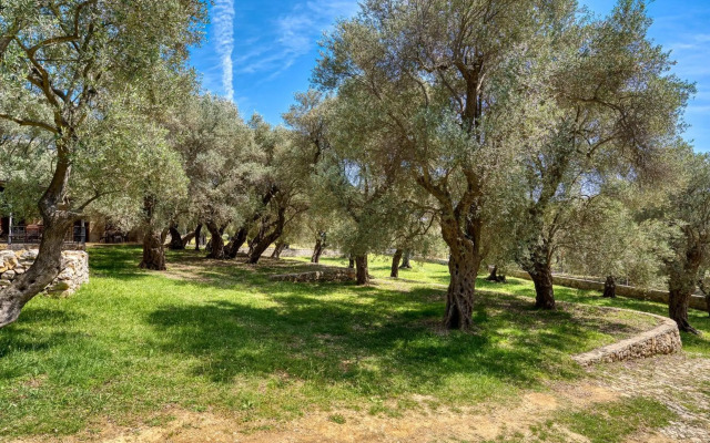 Stonehouse in Olives