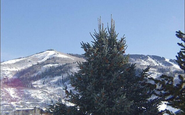 Woodbridge 209 3 Bedroom Townhouse