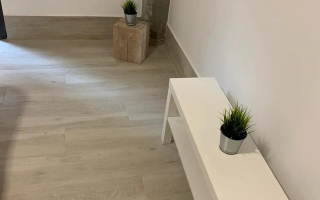 Nuevos Duplex Principe Vergara