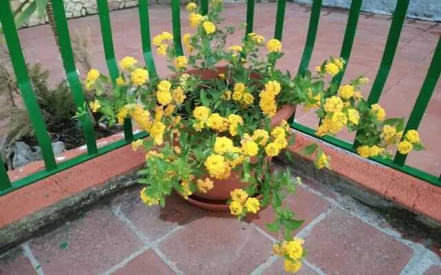b&b Borgo Pileri