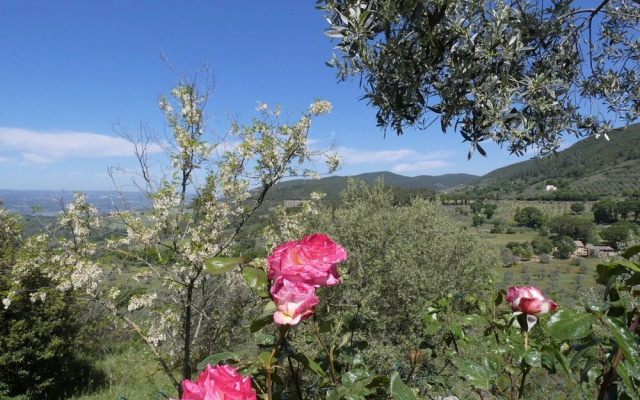 Scappo In Umbria, La Casa Di Giuliana
