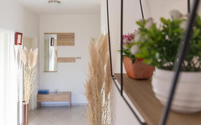 House Jasmin large garden, near Nin