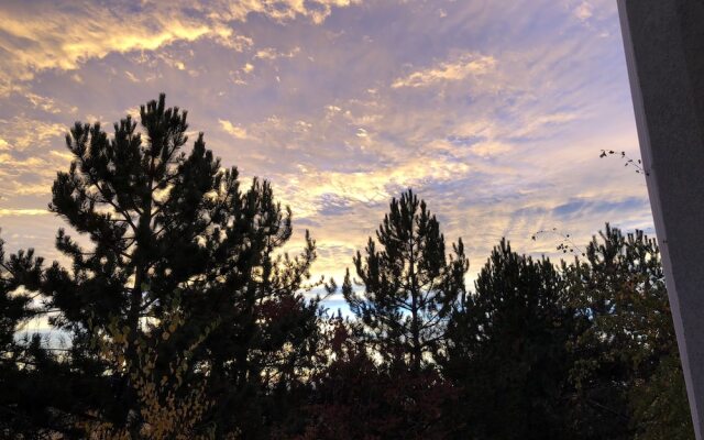 Wild Rose Manor Bed and Breakfast