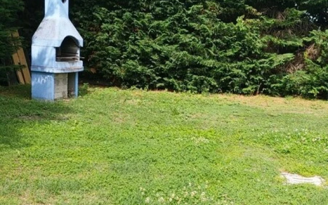 Mobile Homes Surrounded by Greenery