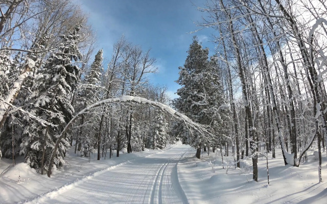 Econo Lodge Hurley-Ironwood