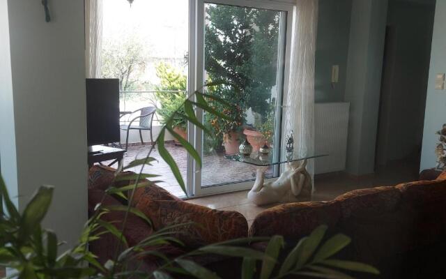 Ulmus Suite