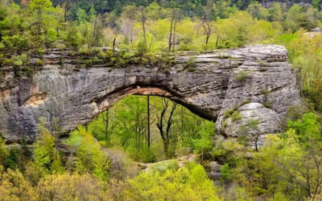 Big South Fork Trail Lodge