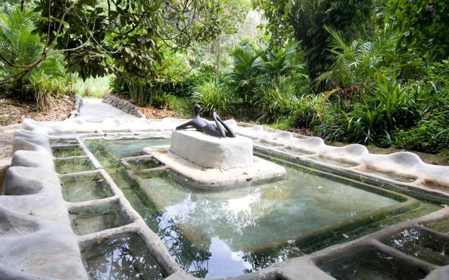 Wareerak Hot Spring & Wellness