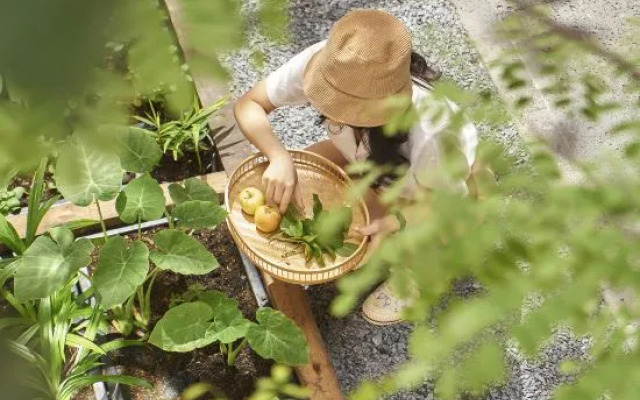 M Village Living Nam Ky Khoi Nghia