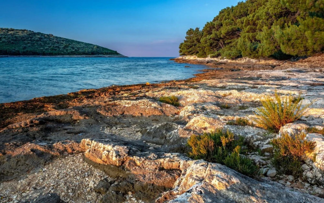 Pool Apartment Suzi 4