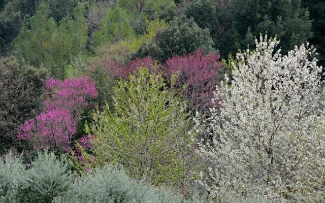 Agriturismo Il Casaletto