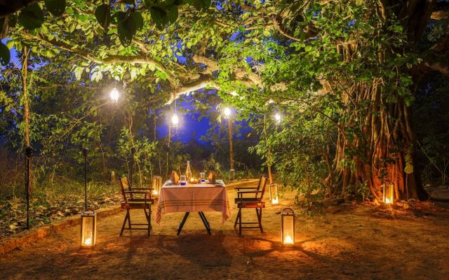 The Untamed Bandhavgarh by TUTC