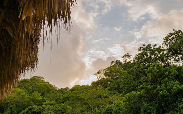 Cabaña Mirador del Bosque Tayrona