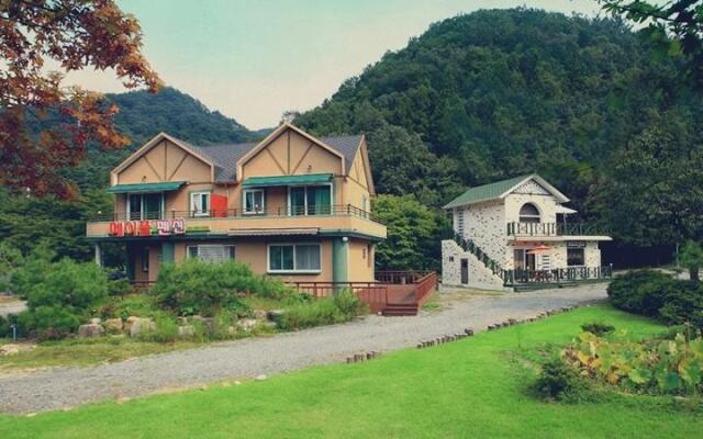 Maple pension
