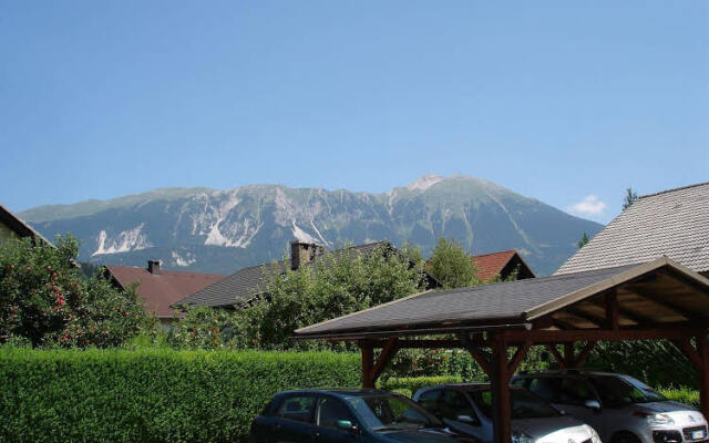 Apartments Vidic