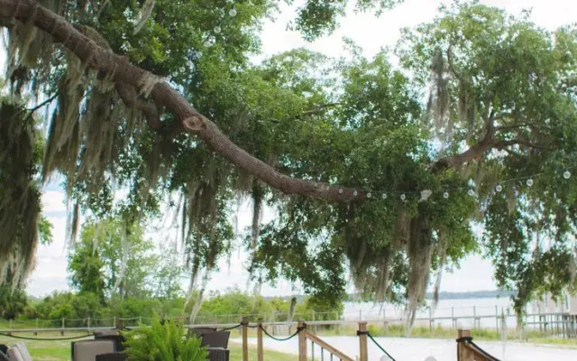 The Nest On Lake Weir